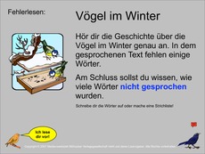 Fehlerlesen-Vögel-im-Winter-Übung.pdf